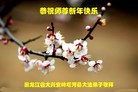 ֹ,󷨵ӹףʦ(23)
