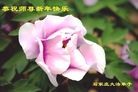 ֹ,ʯׯ󷨵ӹףʦ(31)

