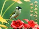 ֹ,ϴ󷨵ӹףʦ(29)
