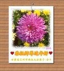 ֹ,󷨵ӹףʦ(25)
