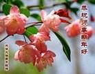 ֹ,󷨵ӹףʦ(25)
