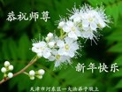 ֹ,󷨵ӹףʦ(25)
