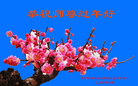 Published on 2/17/2015 ���ֹ�,���Ƿ���Ѻ�Ĵ󷨵��ӹ�ףʦ������(23��)
