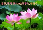 ֹ,󷨵ӹףʦ(29)
