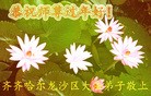ֹ,󷨵ӹףʦ(24)
