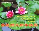 ֹ,«󷨵ӹףʦ(26)
