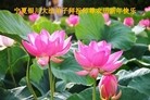 ֹ,Ĵ󷨵ӹףʦ(25)
