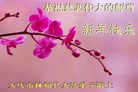 ֹ,󷨵ӹףʦ(28)
