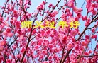 ֹ,󷨵ӹףʦ(29)
