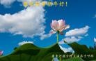ֹ,㶫󷨵ӹףʦ(33)
