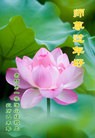 ֹ,ݴ󷨵ӹףʦ(28)
