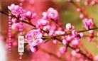 ֹ,ľ˹󷨵ӹףʦ(22)
