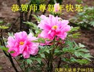 ֹ,󷨵ӹףʦ(27)
