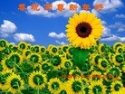 ֹ,ϴ󷨵ӹףʦ(29)

