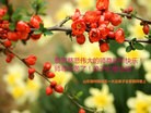 ֹ,д󷨵ӹףʦ(29)
