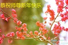 ֹ,󷨵ӹףʦ(26)
