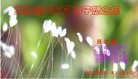 ֹ,󷨵ӹףʦ(24)
