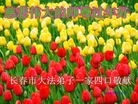 ֹ,󷨵ӹףʦ(25)
