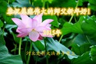法轮功,保定大法弟子恭祝师尊过年好(31条)
