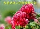 ֹ,ൺ󷨵ӹףʦ(30)
