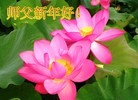 ֹ,ӱ󷨵ӹףʦ(28)
