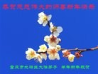 ֹ,󷨵ӹףʦ(26)
