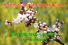ֹ,󷨵ӹףʦ(26)
