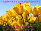 ֹ,󷨵ӹףʦ(20)
