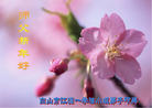 ֹ,ʡ󷨵ӹףʦ(27)
