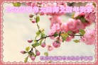 ֹ,󷨵ӹףʦ(28)
