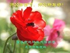 ֹ,󷨵ӹףʦ(26)

