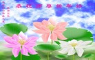 ֹ,ൺ󷨵ӹףʦ(29)

