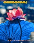 ֹ,󷨵ӹףʦ(25)
