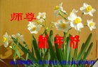 ֹ,մ󷨵ӹףʦ(27)
