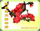 ֹ,ϴ󷨵ӹףʦ(29)
