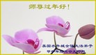 Published on 2/9/2016 ���ֹ�,�������ش󷨵��ӹ�ףʦ�������
