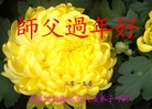 ֹ,ӱ󷨵ӹףʦ(29)
