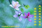 ֹ,Ϻ󷨵ӹףʦ(27)
