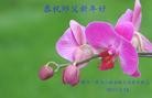 ֹ,ӱ󷨵ӹףʦ(24)
