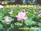 ֹ,󷨵ӹףʦ(30)
