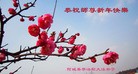 ֹ,󷨵ӹףʦ(31)
