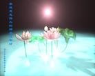 ֹ,󷨵ӹףʦ(28)
