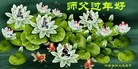 法轮功,河南大法弟子恭祝师尊过年好(28条)

