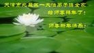 ֹ,󷨵ӹףʦ(28)
