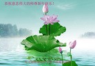 ֹ,ӱ󷨵ӹףʦ(24)
