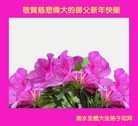 ֹ,ӱ󷨵ӹףʦ(24)
