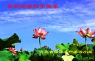 ֹ,ʯׯ󷨵ӹףʦ(27)
