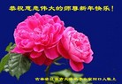 ֹ,ʡ󷨵ӹףʦ(22)
