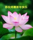 ֹ,ʡ󷨵ӹףʦ(22)
