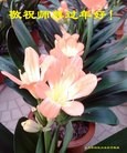 ֹ,ൺ󷨵ӹףʦ(31)
